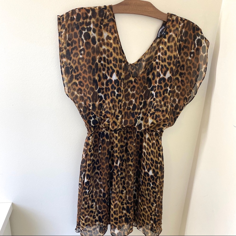 Express Cheetah Dress